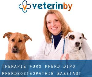 Therapie fürs Pferd - DIPO Pferdeosteopathie (Babstadt)