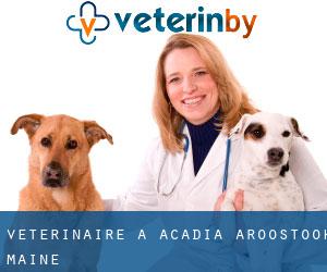 vétérinaire à Acadia (Aroostook, Maine)