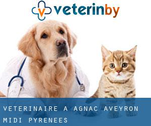 vétérinaire à Agnac (Aveyron, Midi-Pyrénées)