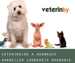 vétérinaire à Ahrbrück (Ahrweiler Landkreis, Rhénanie-Palatinat)