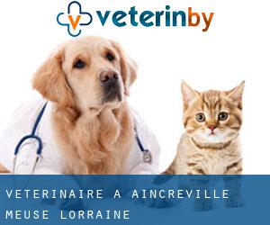 vétérinaire à Aincreville (Meuse, Lorraine)