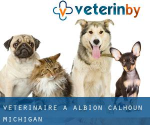 vétérinaire à Albion (Calhoun, Michigan)
