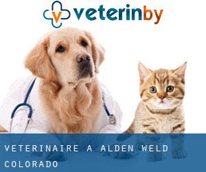 vétérinaire à Alden (Weld, Colorado)
