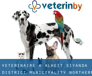 vétérinaire à Alheit (Siyanda District Municipality, Northern Cape)