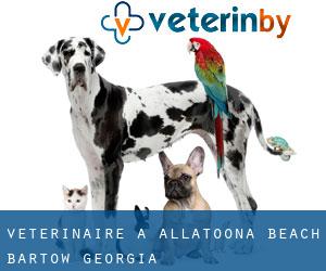 vétérinaire à Allatoona Beach (Bartow, Georgia)