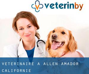vétérinaire à Allen (Amador, Californie)