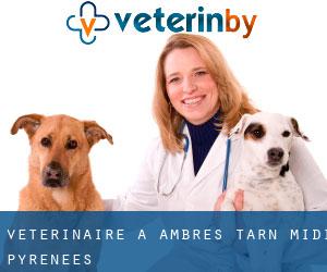vétérinaire à Ambres (Tarn, Midi-Pyrénées)