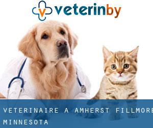 vétérinaire à Amherst (Fillmore, Minnesota)