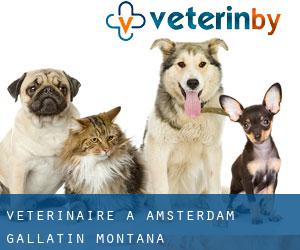 vétérinaire à Amsterdam (Gallatin, Montana)