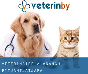 vétérinaire à Anangu Pitjantjatjara