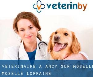 vétérinaire à Ancy-sur-Moselle (Moselle, Lorraine)