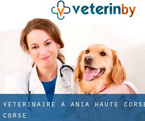 vétérinaire à Ania (Haute-Corse, Corse)