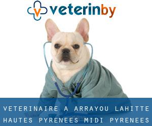 vétérinaire à Arrayou-Lahitte (Hautes-Pyrénées, Midi-Pyrénées)