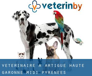 vétérinaire à Artigue (Haute-Garonne, Midi-Pyrénées)