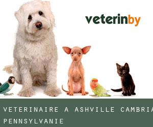 vétérinaire à Ashville (Cambria, Pennsylvanie)