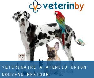 vétérinaire à Atencio (Union, Nouveau-Mexique)