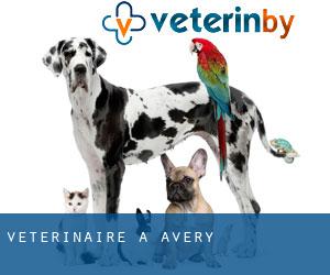 vétérinaire à Avery