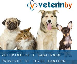 vétérinaire à Babatngon (Province of Leyte, Eastern Visayas)