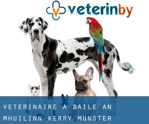 vétérinaire à Baile an Mhuilinn (Kerry, Munster)