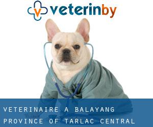 vétérinaire à Balayang (Province of Tarlac, Central Luzon)