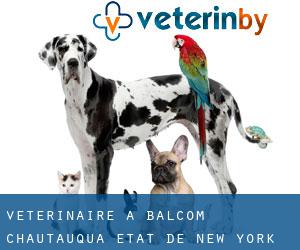 vétérinaire à Balcom (Chautauqua, État de New York)