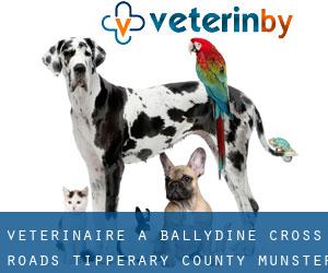 vétérinaire à Ballydine Cross Roads (Tipperary County, Munster)