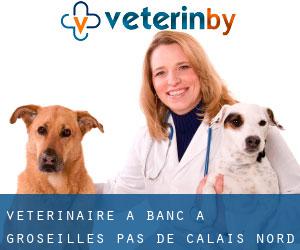 vétérinaire à Banc à Groseilles (Pas-de-Calais, Nord-Pas-de-Calais)