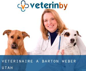 vétérinaire à Barton (Weber, Utah)