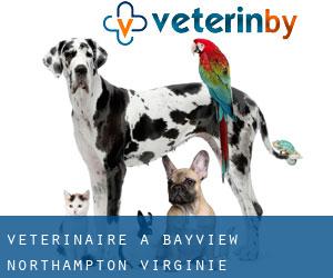 vétérinaire à Bayview (Northampton, Virginie)