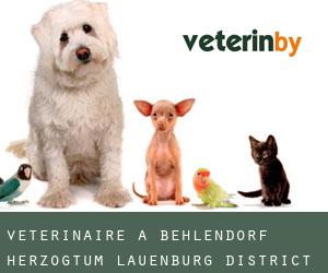 vétérinaire à Behlendorf (Herzogtum Lauenburg District, Schleswig-Holstein)