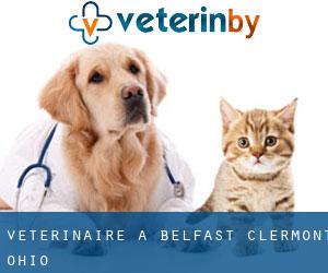 vétérinaire à Belfast (Clermont, Ohio)
