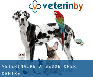 vétérinaire à Bessé (Cher, Centre)