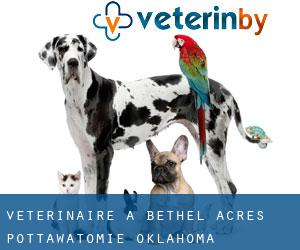 vétérinaire à Bethel Acres (Pottawatomie, Oklahoma)