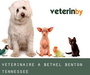 vétérinaire à Bethel (Benton, Tennessee)