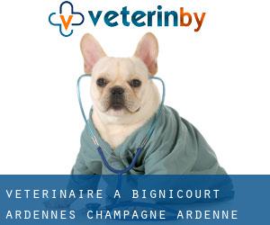 vétérinaire à Bignicourt (Ardennes, Champagne-Ardenne)