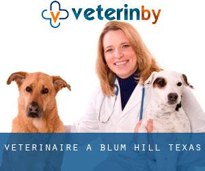 vétérinaire à Blum (Hill, Texas)