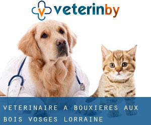 vétérinaire à Bouxières-aux-Bois (Vosges, Lorraine)