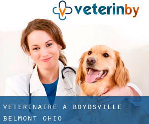 vétérinaire à Boydsville (Belmont, Ohio)