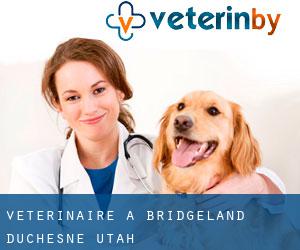 vétérinaire à Bridgeland (Duchesne, Utah)