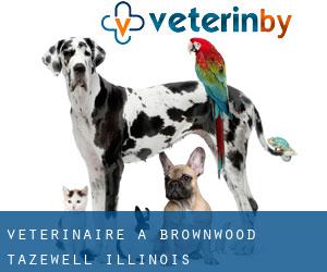 vétérinaire à Brownwood (Tazewell, Illinois)