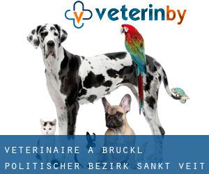 vétérinaire à Brückl (Politischer Bezirk Sankt Veit an der Glan, Carinthie)