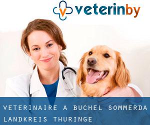vétérinaire à Büchel (Sömmerda Landkreis, Thuringe)