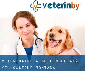 vétérinaire à Bull Mountain (Yellowstone, Montana)