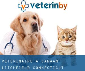 vétérinaire à Canaan (Litchfield, Connecticut)