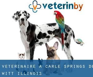 vétérinaire à Carle Springs (De Witt, Illinois)