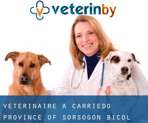 vétérinaire à Carriedo (Province of Sorsogon, Bicol)