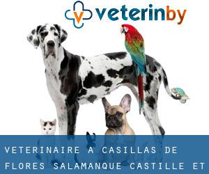 vétérinaire à Casillas de Flores (Salamanque, Castille-et-León)