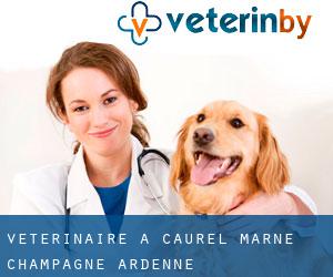 vétérinaire à Caurel (Marne, Champagne-Ardenne)