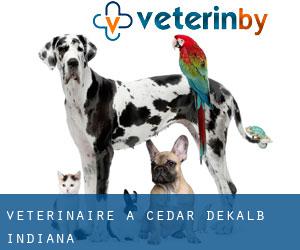 vétérinaire à Cedar (DeKalb, Indiana)