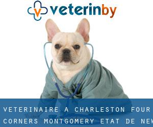 vétérinaire à Charleston Four Corners (Montgomery, État de New York)